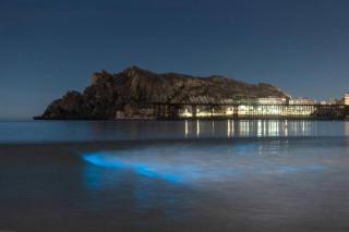 Casa Del Mar - Águilas - 4