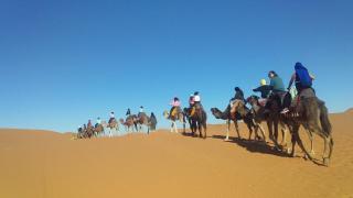 Merzouga camel trek - Merzouga - 1