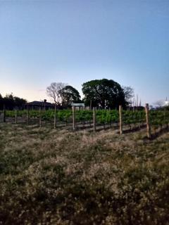 Finca Doña Antonia - 6