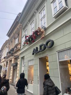 Lux Dabich 1 - Novi Sad - 3