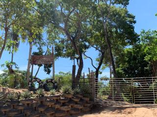 Magic Tree - 4