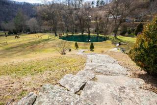 Fairytale: Hot Tub & Trout Stream & Petting Zoo? - Sugar Grove - 9
