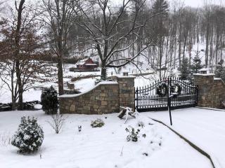 Fairytale: Hot Tub & Trout Stream & Petting Zoo? - Sugar Grove - 2
