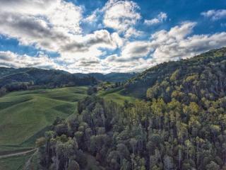 Petting Zoo! Hot Tub, 15 acres, stream & Romance! - Sugar Grove - 5