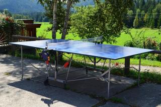 Haus Karin Seidl - Neumarkt in Steiermark - 2