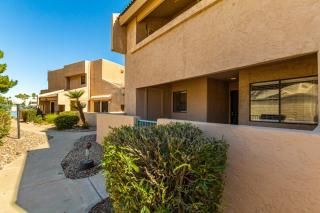 Splendor of the Phoenix - Phoenix - 0