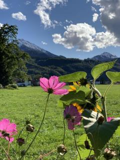 Apartment Schellenberg 20 - 5