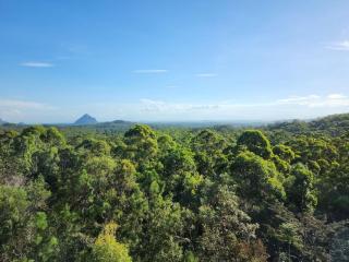 The Artists Studio, Sunshine Coast Hinterland - 3