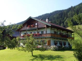 Staufenblick roof studio in the house - Inzell - 0