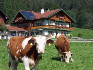 Staufenblick roof studio in the house - Inzell - 2