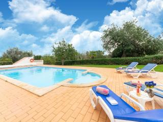 Comfortable house with garden and swimming pool - - 1