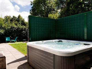Luxury home with sauna and outdoor spa - Earnewâld - 9