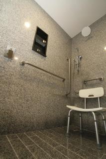 Hampton by Hilton Aguascalientes Downtown - 1