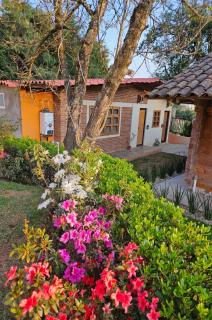 Cabañas en Zacatlán - Zacatlán - 8