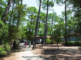 Résidence Landes, Moliets - Holiday home with terrace - Moliets-et-Maa - 2