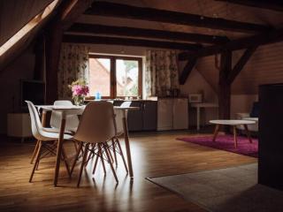 Spacious apartment in the countryside, Gronowo - - 9