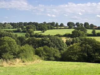 Charmante fermette au sud avec jardin et animaux acceptés - FR-1-489-311 - 1