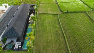 Villa Black Pearl by BaliSuperHost - Ubud - 9