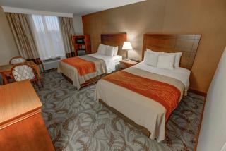 Comfort Inn & Suites - Triadelphia - 9