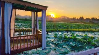 Houseboat young wild Rose - Srinagar - 8