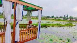 Houseboat young wild Rose - Srinagar - 6