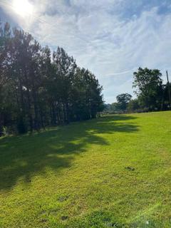 Peaceful Seclusion- 4BR-Tylertown-Columbia-McComb - Tylertown - 2