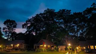 แพนด้าแคมปิ้งเขาใหญ่ - 8