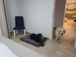 Lanckensburg - Ferienwohnung 2 - Altenkirchen - 1