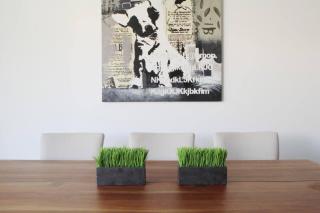 New beautiful house in El Tigre, Golf Club, Punta Cala Doble - 8
