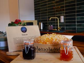 Le Grenier Du Botaniste - 8