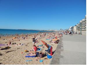 ST Malo Maison avec jardin proche gare plage intramuros chien admis parking gratuit - Saint-Malo - 0