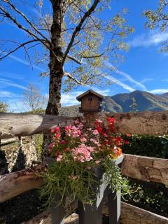 Le Chalet de Larcat - Larcat - 8