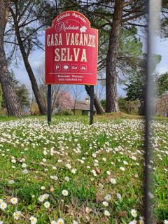 Casa Vacanze Selva - Premariacco - 6