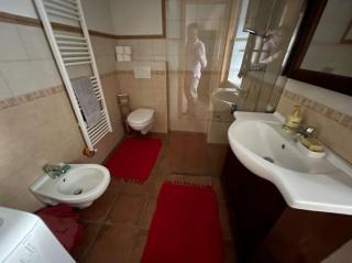 Traditional Slovenian house - Vransko - 6