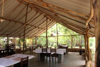 Eagles Wing's GuestHouse - Habarana - 5