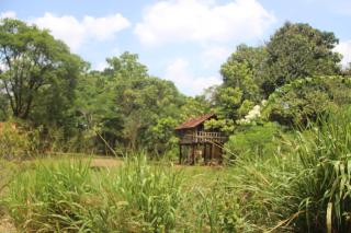 Eagles Wing's GuestHouse - Habarana - 8