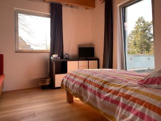 A cozy room in a modern House - Potsdam - 3