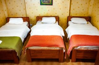 Istanbul Irish Hotel - Istanbul - 8