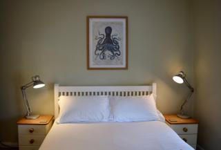 Octopus Loft, Falmouth - 3