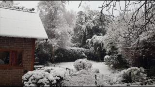 Confortable y hermosa casa en Bariloche - 5
