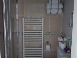 Bronwye - Builth Wells - 1