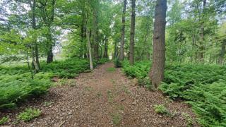 Ruheoase am Wald 35651 - Uplengen - 1