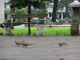 Daun Residence Menteng - 3