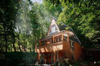 Olive Tree Forest Cabin Original - 0