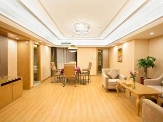 Vienna Hotel Hunan Hengyang Leiyang - Leiyang - 8