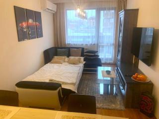 Privat apartment hotel Belvedere**** - Bansko - 4