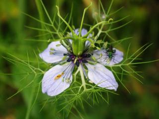 Agriturismo Poggio la Fioraia - 1
