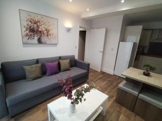 Luxury apartment near London centre, near train station, E1 - Londra - 1