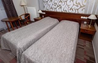 Arany Bárány Hotel - Zalaegerszeg - 6
