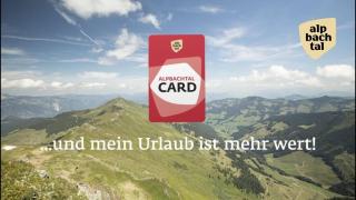 Bergwald Appartements Alpbach - Alpbach - 4
